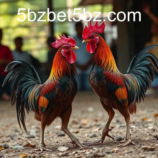 The Allure and Essentials of Sabong Games: An Exploration Featuring 5bzbet